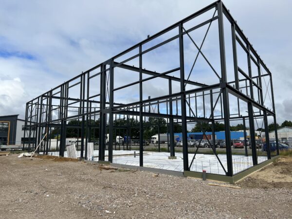 Uitgelichte afbeelding van Dieren